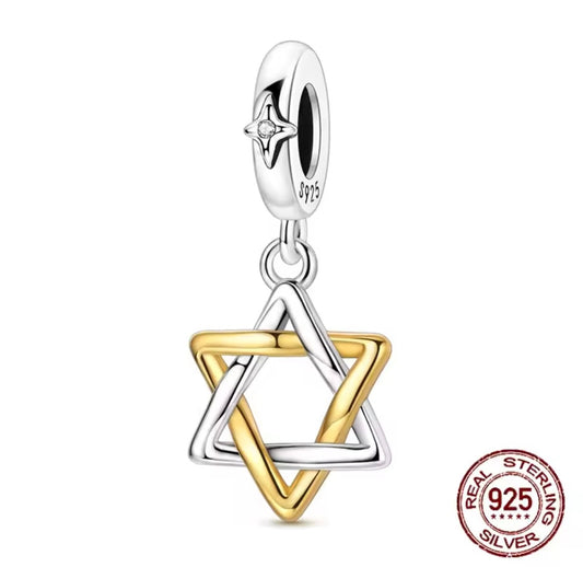 Dual tone Magen David charm