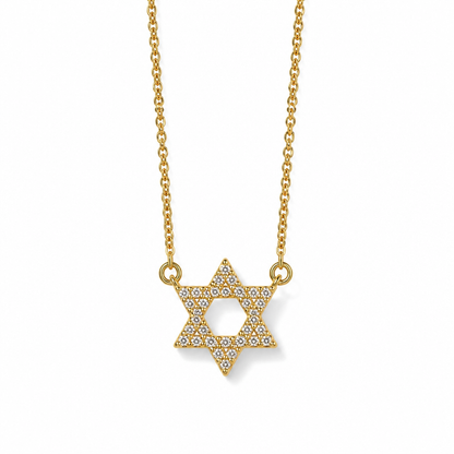 Magen David Zircon Necklace | Silver & Gold Plated Judaica Jewelry